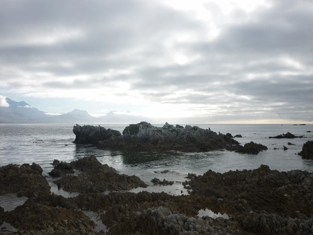 New_Zealand (696).JPG